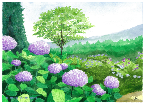 「紫陽花の咲く公園」透明水彩画　原画　風景画　額縁付　F4サイズ 3枚目の画像