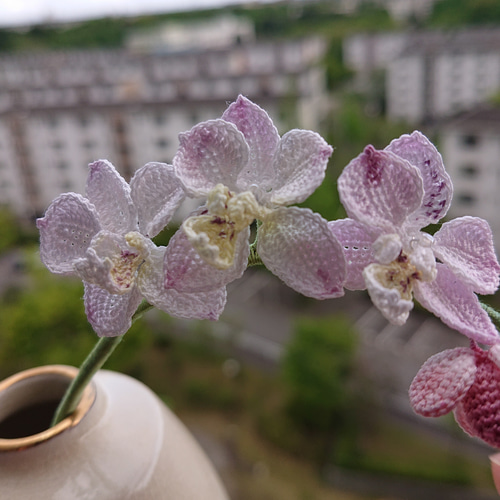 かぎ編み 胡蝶蘭 DMC80番レース糸 その他ファッション ミルチュチュ