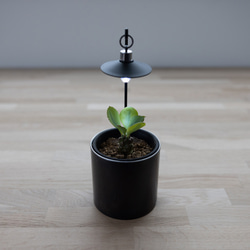 Plant Light + Pot [ 植物用吊下ランプ+ポットセット ] 2枚目の画像