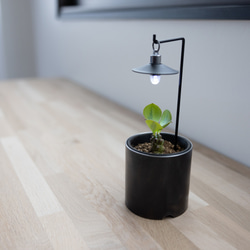 Plant Light + Pot [ 植物用吊下ランプ+ポットセット ] 1枚目の画像