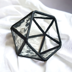 大きな滝のアクアテラリウム テラリウム frogAndPaludarium 通販