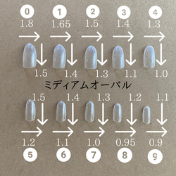 計測用ネイルチップ 3枚目の画像