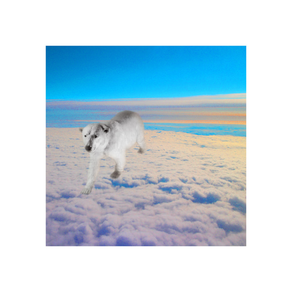 【送料無料】幅広いバリエで雲の上かな（sq1810028） 2枚目の画像