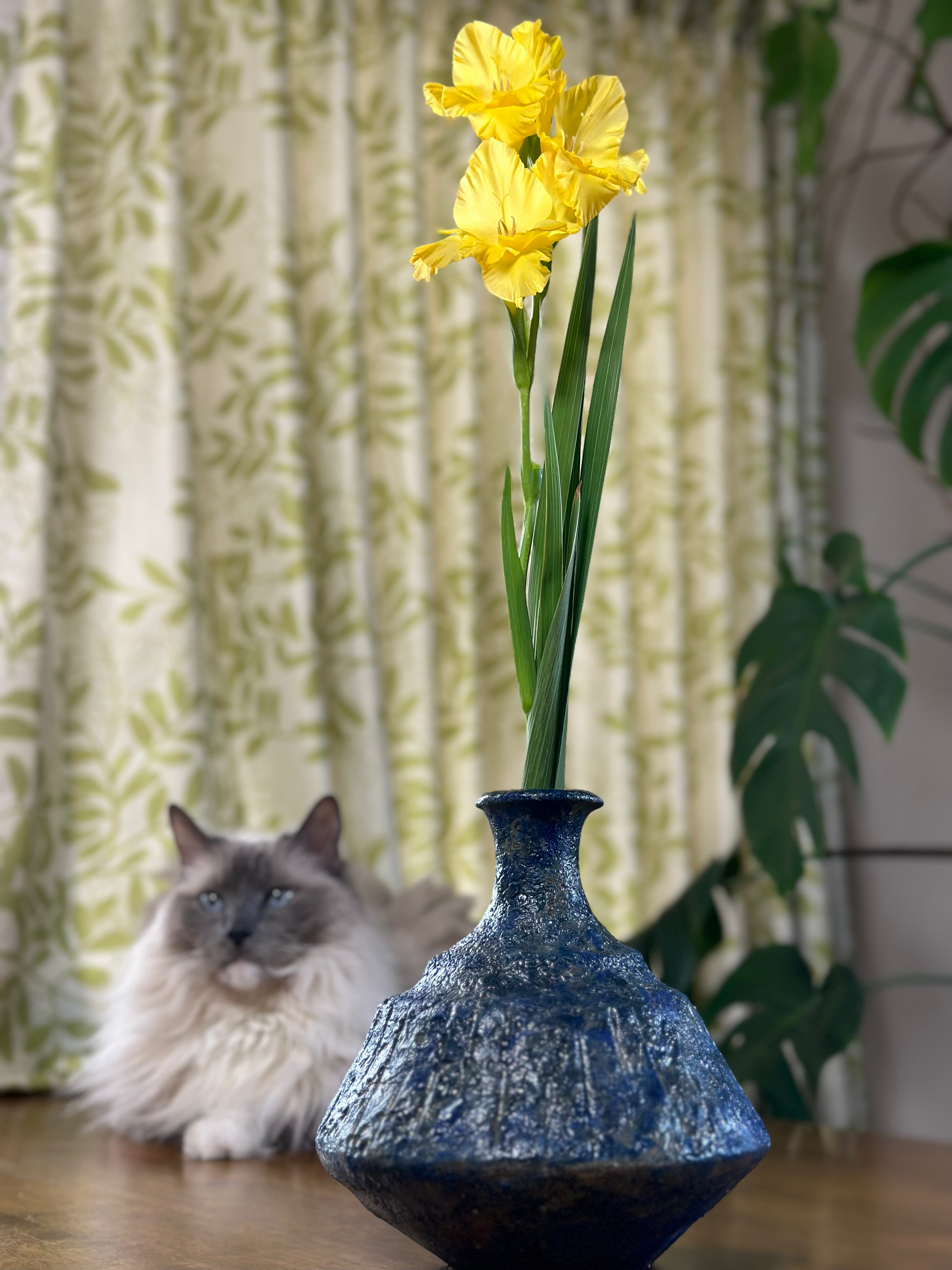 Miguel 青い陶器の花瓶 中型 Miguel 青い陶器の花瓶 中型 【送料無料】花瓶 青釉ペルシャ蝶文