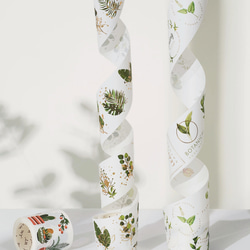 3巻 海外和紙テープ 流金樹影 和紙マスキングテープ(剥離紙付き) 花 葉 植物 鉢植え 装飾系 海外マステ 和紙膠帶 3枚目の画像