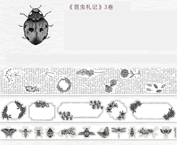 3巻 海外和紙テープ 昆虫ノート 和紙マスキングテープ(剥離紙付き) 昆虫 葉 植物 海外マステ 和紙膠帶 WT60 6枚目の画像