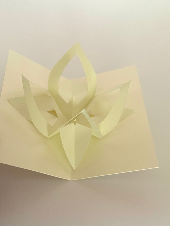 香りを愛でる【白花沈丁花】 4枚目の画像