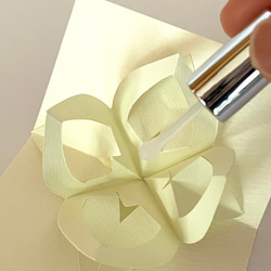 香りを愛でる【白花沈丁花】 5枚目の画像