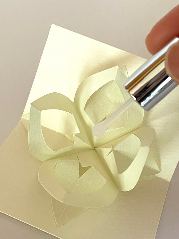 香りを愛でる【白花沈丁花】 5枚目の画像