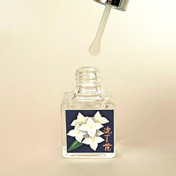 香りを愛でる【白花沈丁花】 2枚目の画像