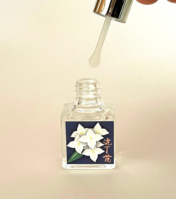 香りを愛でる【白花沈丁花】 2枚目の画像