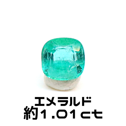 ルース207
