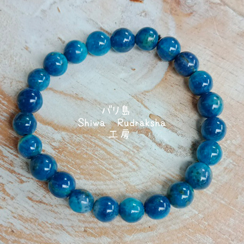 ブルーコーラル(青珊瑚)】ブレスレット ブレスレット Shiwa Rudraksha  