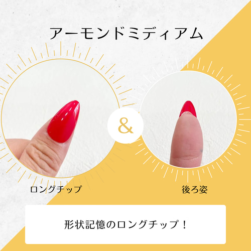 ご確認用ネイルチップ 楽天市場】【送料無料】サイズ確認用 ネイルチップ 2種類 : nail