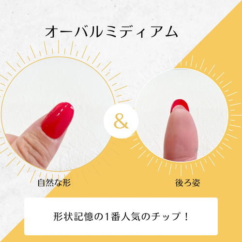 ご確認用ネイルチップ サイズ確認用ネイルチップ | primira