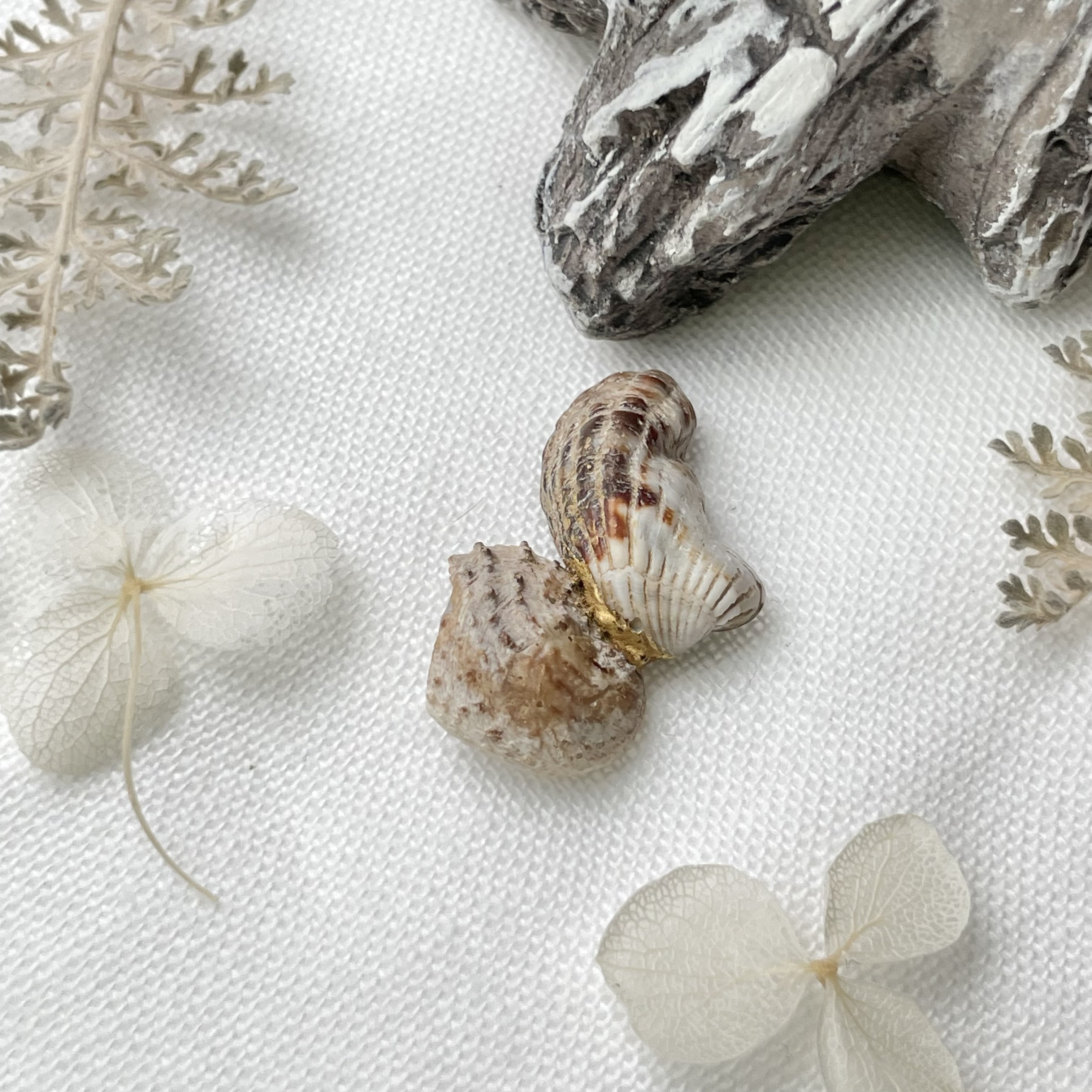 mar_Japon_kanaya_0043