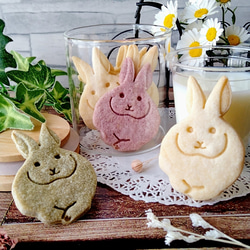 兔子形餅乾模具（蓮花芽）/Rabbit-shaped cookie cutter 第2張的照片