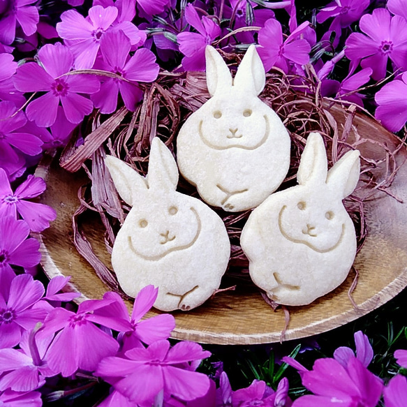 兔子形餅乾模具（蓮花芽）/Rabbit-shaped cookie cutter 第3張的照片