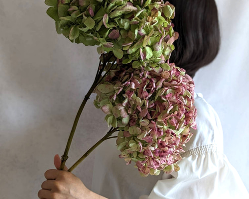 6.アンティーク紫陽花スワッグ 41df16c33ab568510f0d517d852cb4