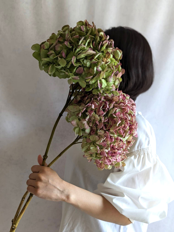 5.アンティーク紫陽花スワッグ 5.アンティーク紫陽花スワッグ 5アンティーク紫陽花のスワッグ母の日母