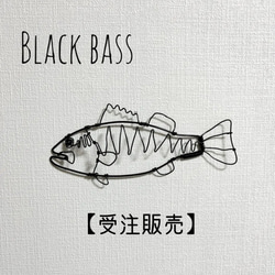 シーラカンス 深海魚 立体 壁掛け ワイヤーアート【受注販売