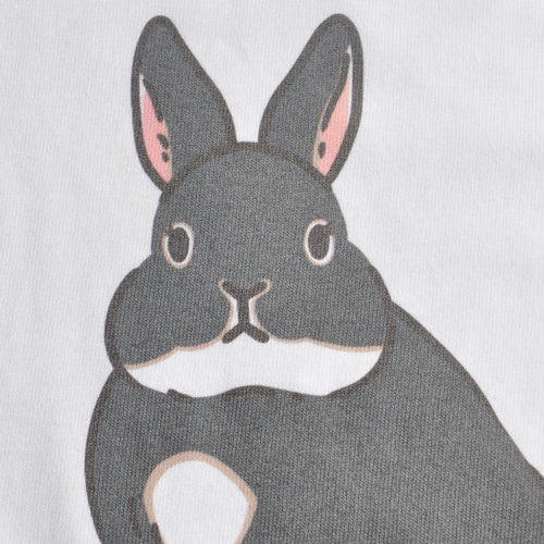 ウサギ様オーダー 615df5ed15cf862256419cb046067c