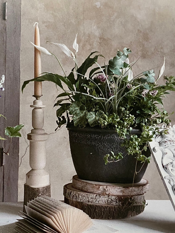 《可愛い ポット鉢》コレットラウンド 観葉植物 多肉植物 お花の寄せ植えに ガーデニング 樹脂製 アンティーク 202 2枚目の画像
