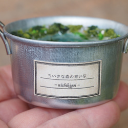【ジオラマアート】ちいさな森の青い泉　ミニチュア　涼　透明感　水　レジン　縁起物　錦鯉nishikigoi プレゼント 13枚目の画像