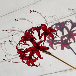 彼岸花のかんざし ディップアート 一本簪 蕊赤 2枚目の画像