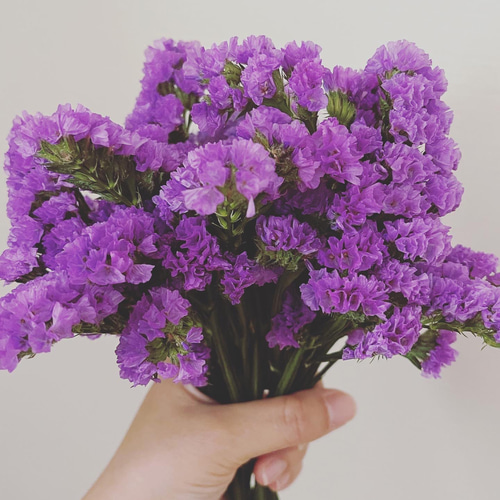 数量限定】自家製スターチスドライフラワー花材 紫 レジン用 小さい花