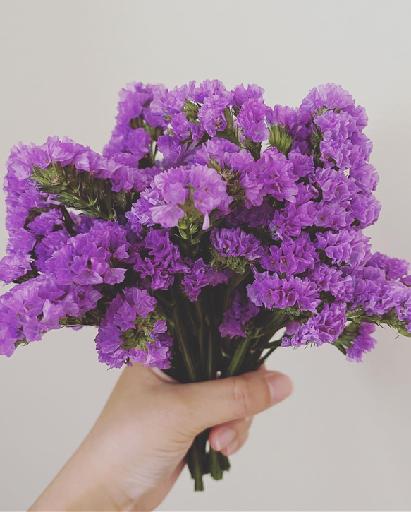 【数量限定】自家製スターチスドライフラワー花材　紫　レジン用　小さい花　 2枚目の画像
