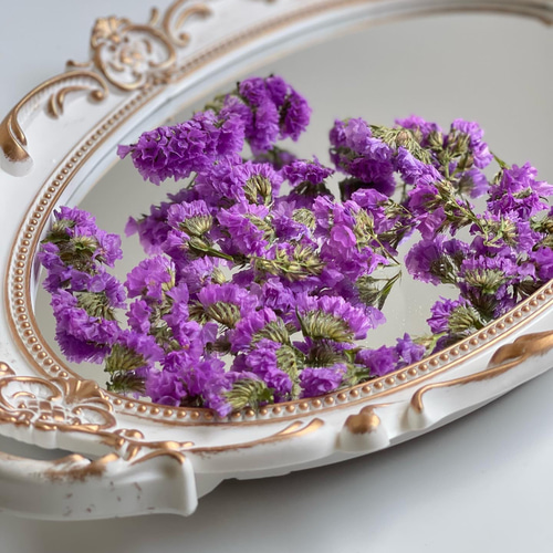 薄い紫色のハイブリッドスター　　　ドライフラワー 8本⇒11g〈No.37〉 薄い紫色のハイブリッドスター ドライフラワー 8本⇒11g〈No.37〉 薄い