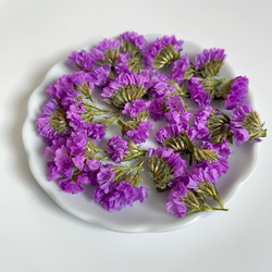 【数量限定】自家製スターチスドライフラワー花材　紫　レジン用　小さい花　 4枚目の画像