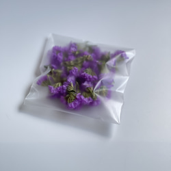 【数量限定】自家製スターチスドライフラワー花材　紫　レジン用　小さい花　 6枚目の画像