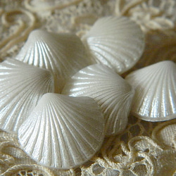 ♡ホワイトパールの貝のボタン2個　 6枚目の画像