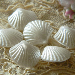 ♡ホワイトパールの貝のボタン2個　 1枚目の画像