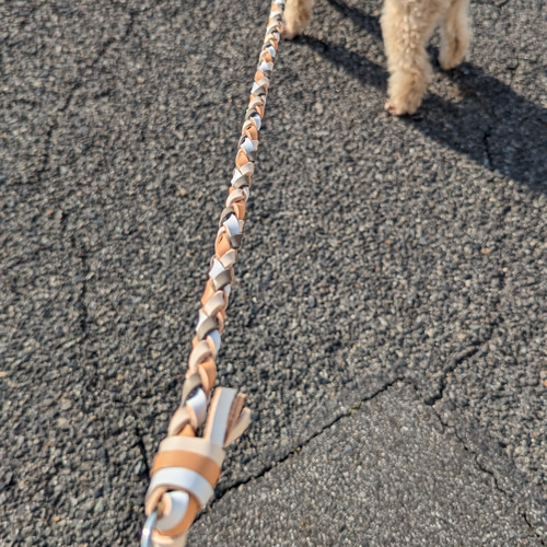 レザー、4つ編みリード 即納 リード・首輪 あ～ちゃん 通販 15778963