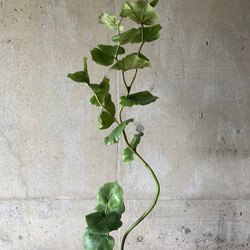 光触媒　人工観葉植物　ウォールグリーン　フェイクグリーン　シーグレープ13235 10枚目の画像