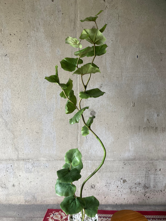 光触媒　人工観葉植物　ウォールグリーン　フェイクグリーン　シーグレープ13235 10枚目の画像