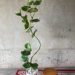 光触媒　人工観葉植物　ウォールグリーン　フェイクグリーン　シーグレープ13235 2枚目の画像