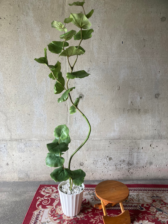 光触媒　人工観葉植物　ウォールグリーン　フェイクグリーン　シーグレープ13235 2枚目の画像
