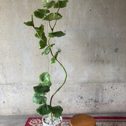 光触媒　人工観葉植物　ウォールグリーン　フェイクグリーン　シーグレープ13235 3枚目の画像