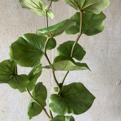 光触媒　人工観葉植物　ウォールグリーン　フェイクグリーン　シーグレープ13235 4枚目の画像