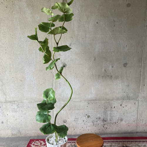 光触媒　人工観葉植物　ウォールグリーン　フェイクグリーン　シーグレープ13235 光触媒 人工観葉植物 ウォールグリーン フェイクグリーン シー