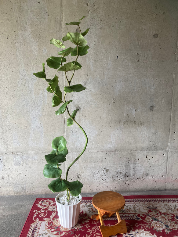 光触媒　人工観葉植物　ウォールグリーン　フェイクグリーン　シーグレープ13235 6枚目の画像