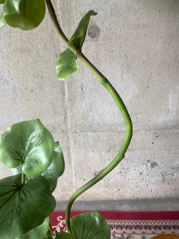 光触媒　人工観葉植物　ウォールグリーン　フェイクグリーン　シーグレープ13235 8枚目の画像