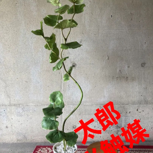 光触媒　人工観葉植物　ウォールグリーン　フェイク　フラワー　オリーブシーグレープ 光触媒 人工観葉植物 ウォールグリーン フェイク フラワー オリーブ