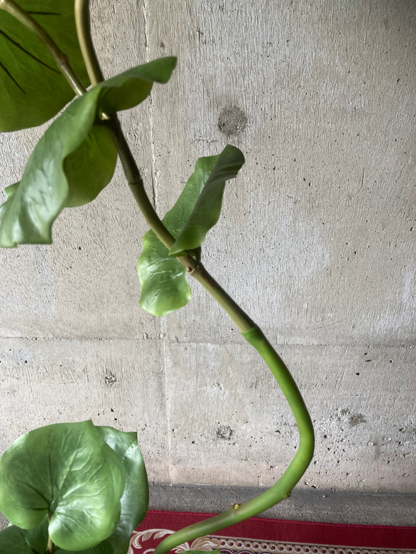 光触媒　人工観葉植物　ウォールグリーン　フェイクグリーン　シーグレープ13235 5枚目の画像