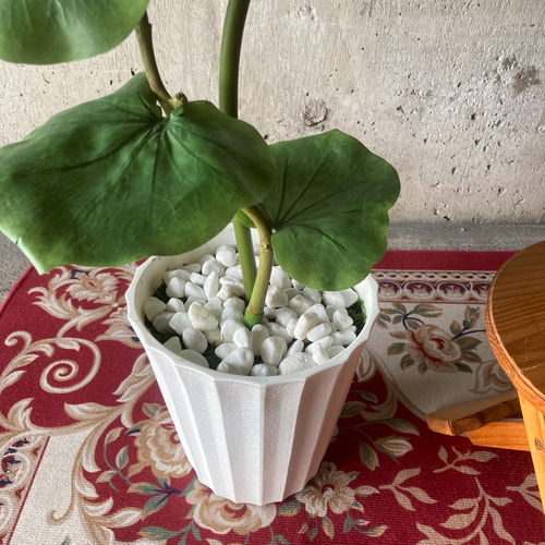 光触媒　人工観葉植物　ウォールグリーン　フェイクグリーン　シーグレープ13235 光触媒 人工観葉植物 ウォールグリーン フェイクグリーン シー