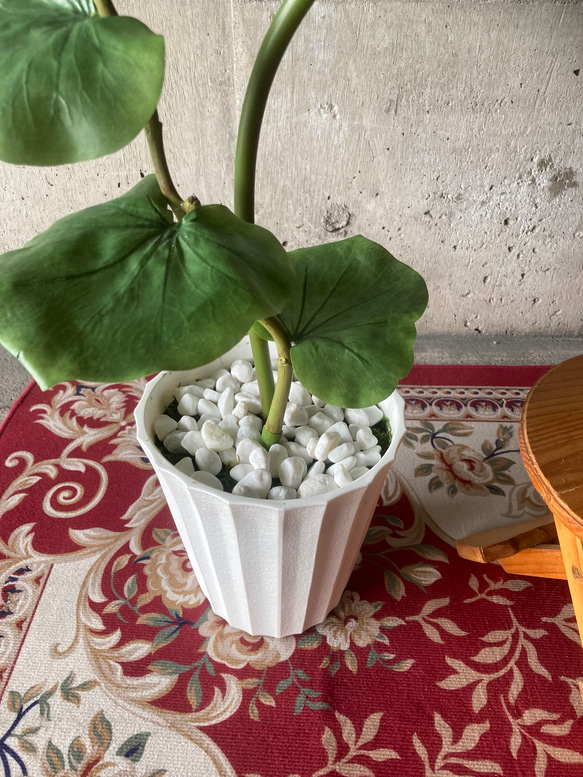 光触媒　人工観葉植物　ウォールグリーン　フェイクグリーン　シーグレープ13235 9枚目の画像